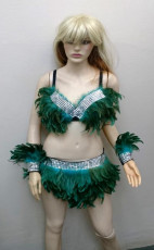 Deluxe Showgirl 4 Piece Feather costume